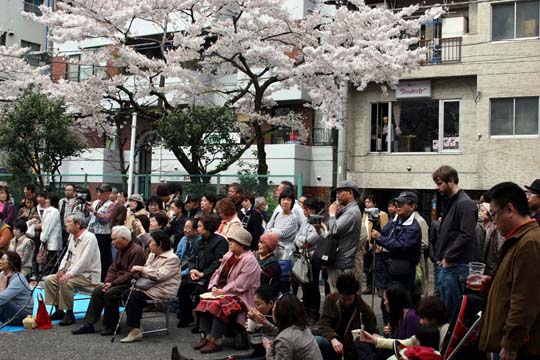 2009年の桜 7