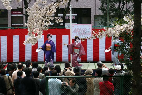 2009年の桜 9