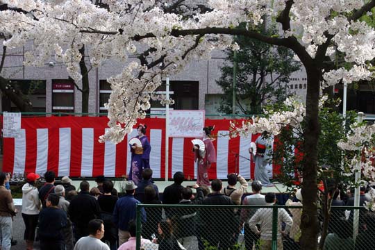 2009年の桜 14