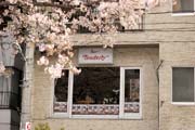2010年の桜 4