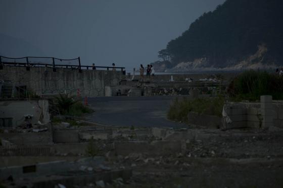 新盆 16