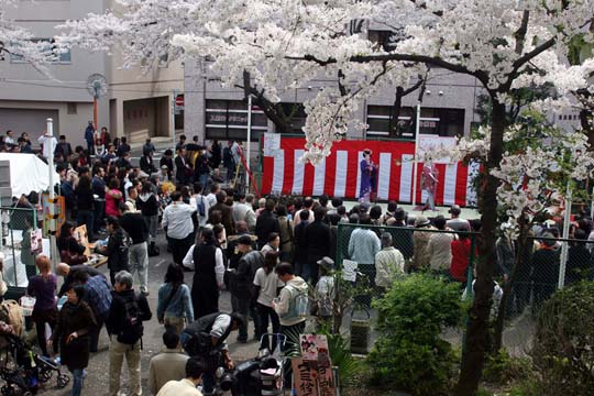 2009年の桜 11